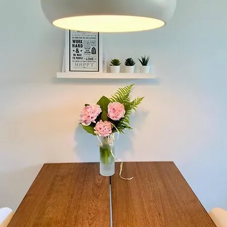 Lakeside Modern Minimalist Freeparking Apartman